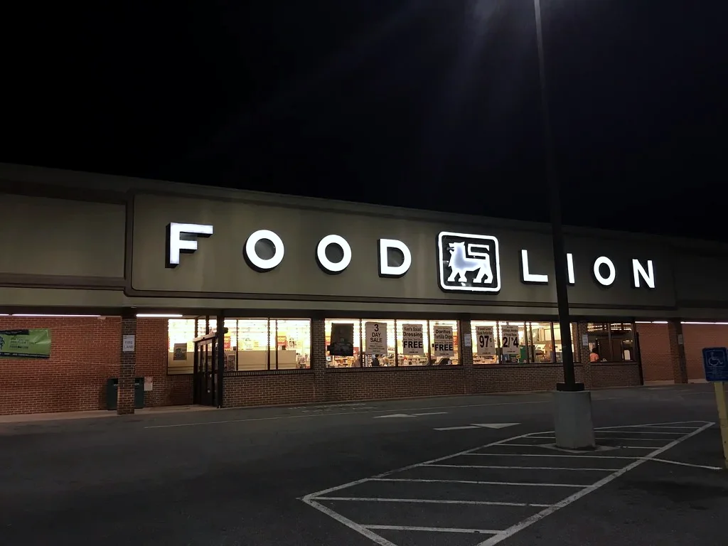 food lion (retail + grocery)